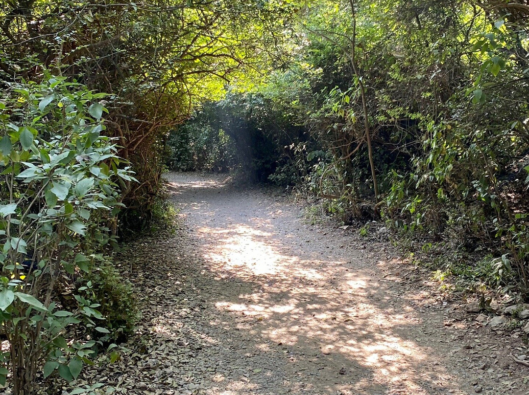 Margalla Hills-伊斯兰堡必去景点