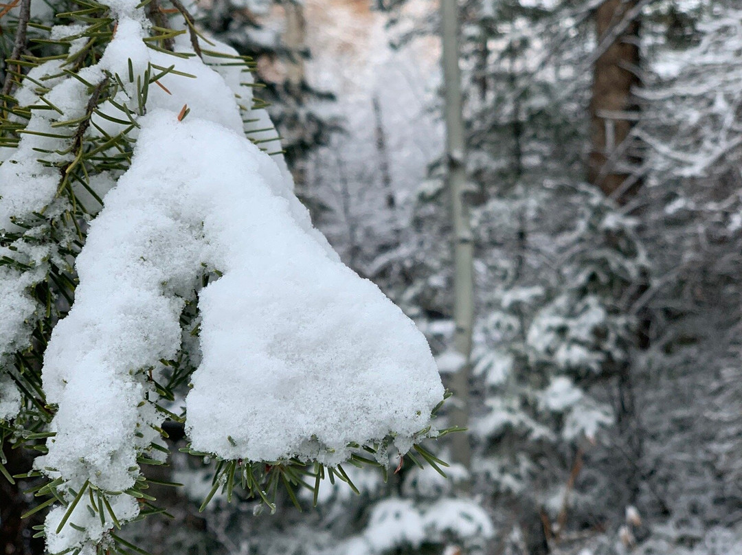 Hunter Creek Trail-阿斯蓬必去景点