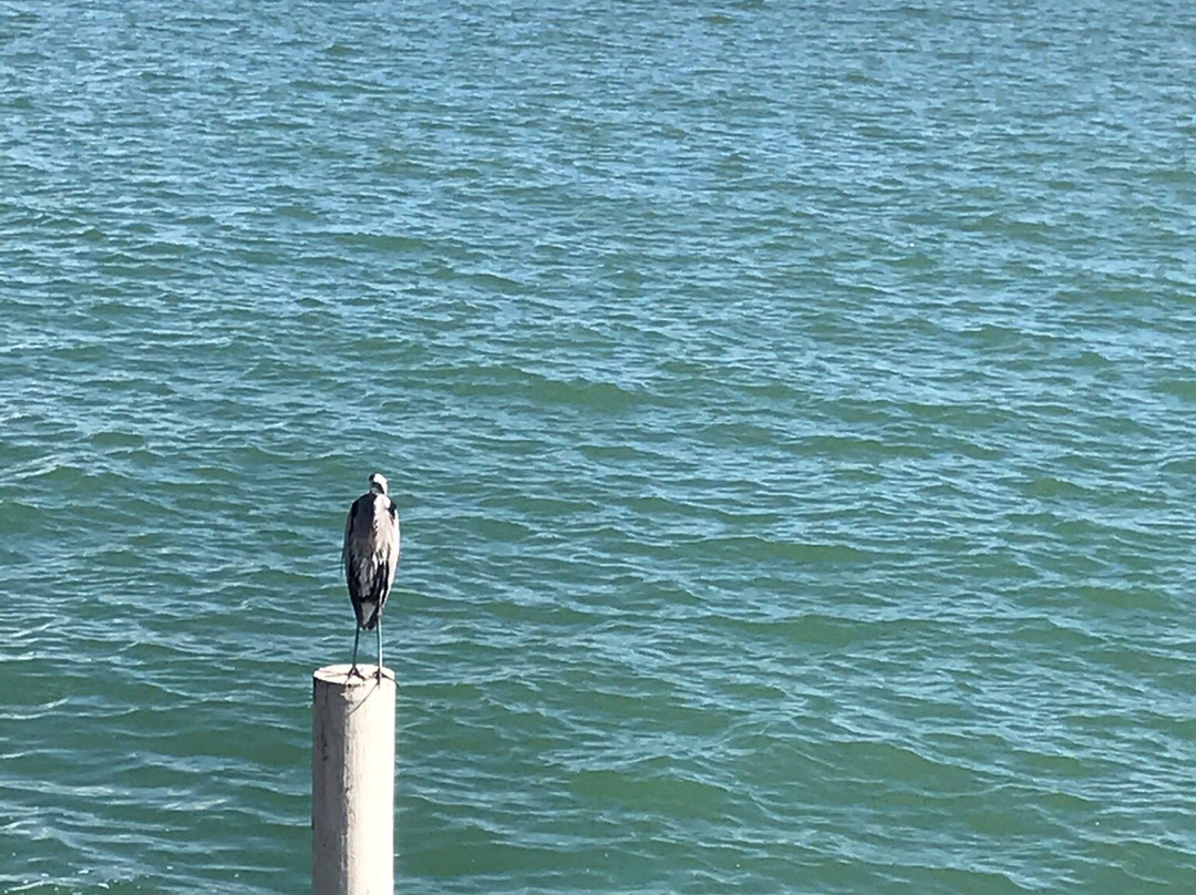 Corpus Christi Downtown Seawall-科珀斯克里斯蒂市必去景点