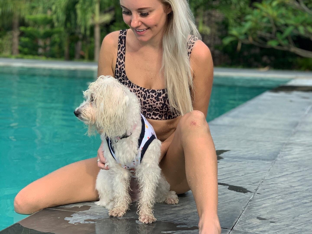 Casitas de Victoria主图