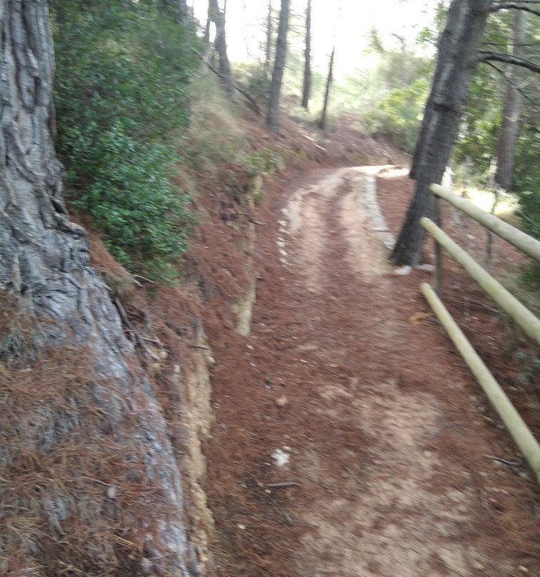 CR2 Peguera - Es Capdella Trail景点图片