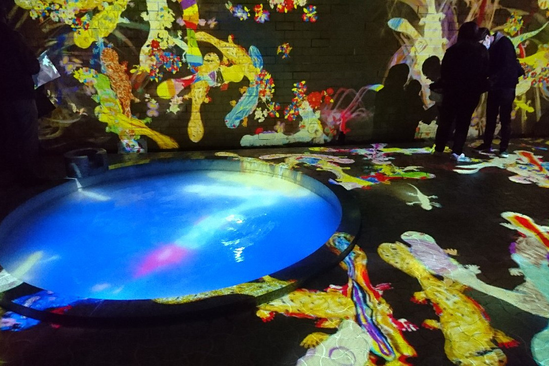 teamLab: A Forest Where Gods Live景点图片