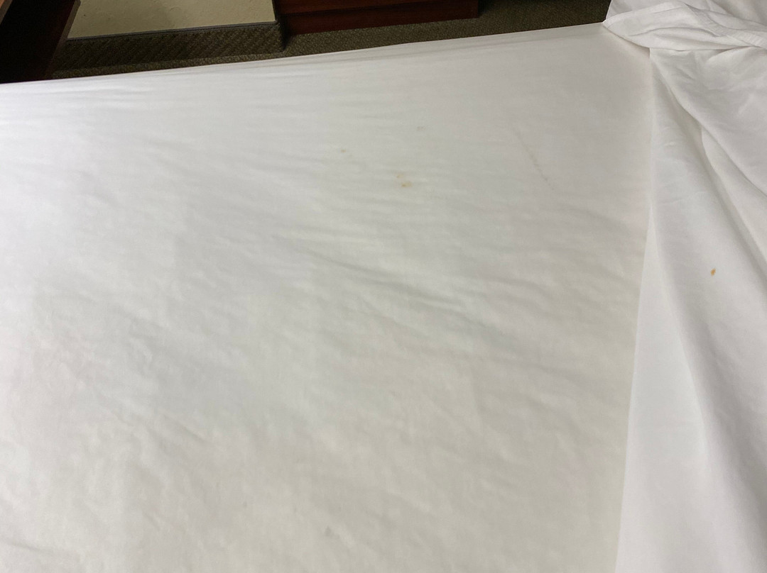 Microtel Inn & Suites By Wyndham Gassaway/sutton主图