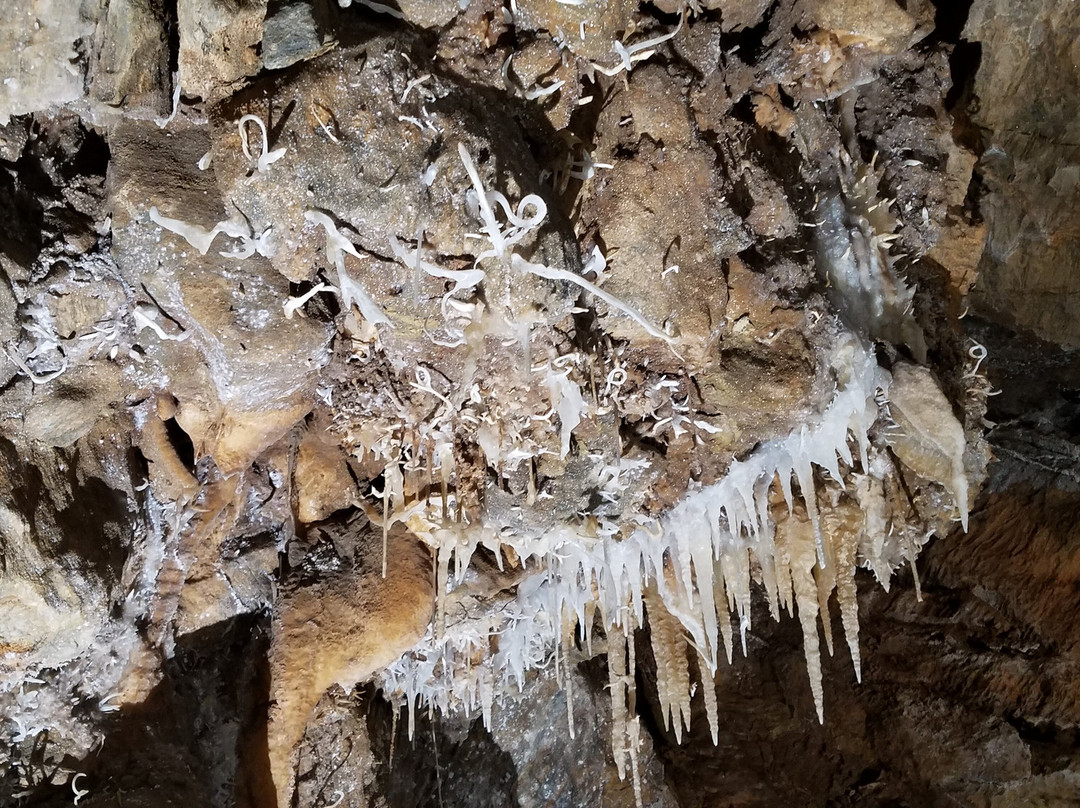 Black Chasm Cavern景点图片