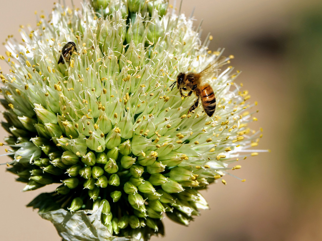 福鲁格摩尔公园酒店主图