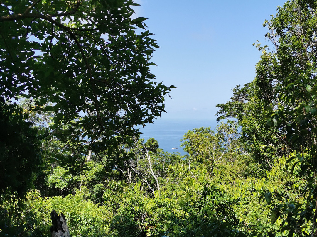 Quill National Park-圣尤斯泰希厄斯岛必去景点