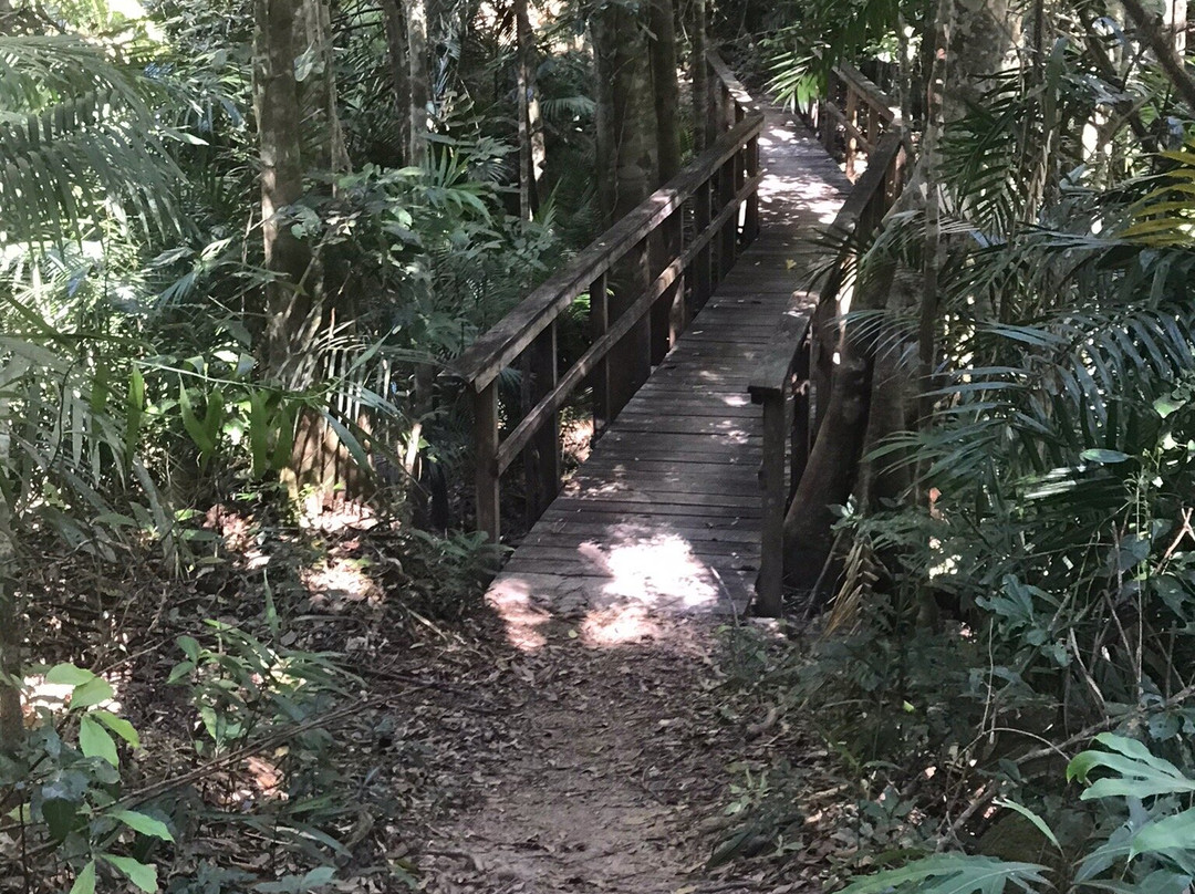 Glacier Rock Lookout-库兰达必去景点