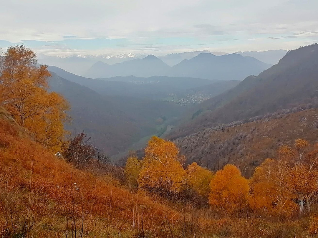 Parco Regionale Campo dei Fiori景点图片