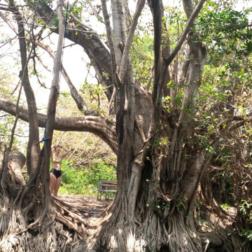 Copasa Travel-莫西必去景点