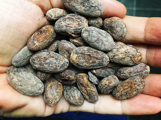 Ratza Chocolate-塔彭斯普林斯必去景点