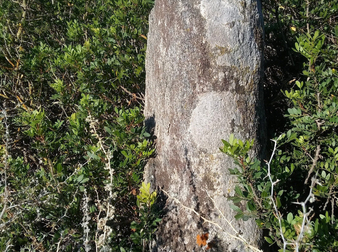 Menhir di Piscina Rei-Costa Rei必去景点