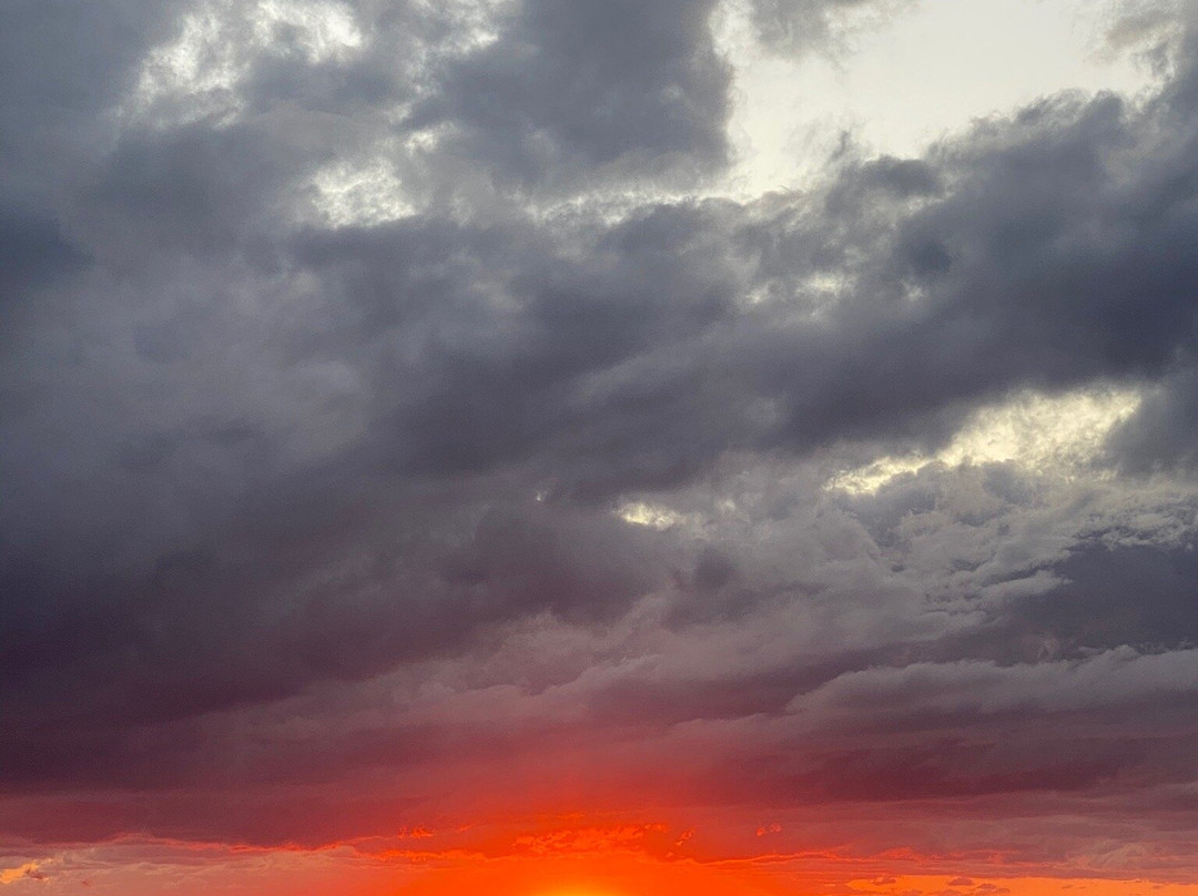 Toast the Sun-拜伦湾必去景点