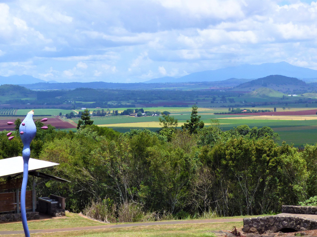 Hallorans Hill Regional Park- 阿瑟顿必去景点