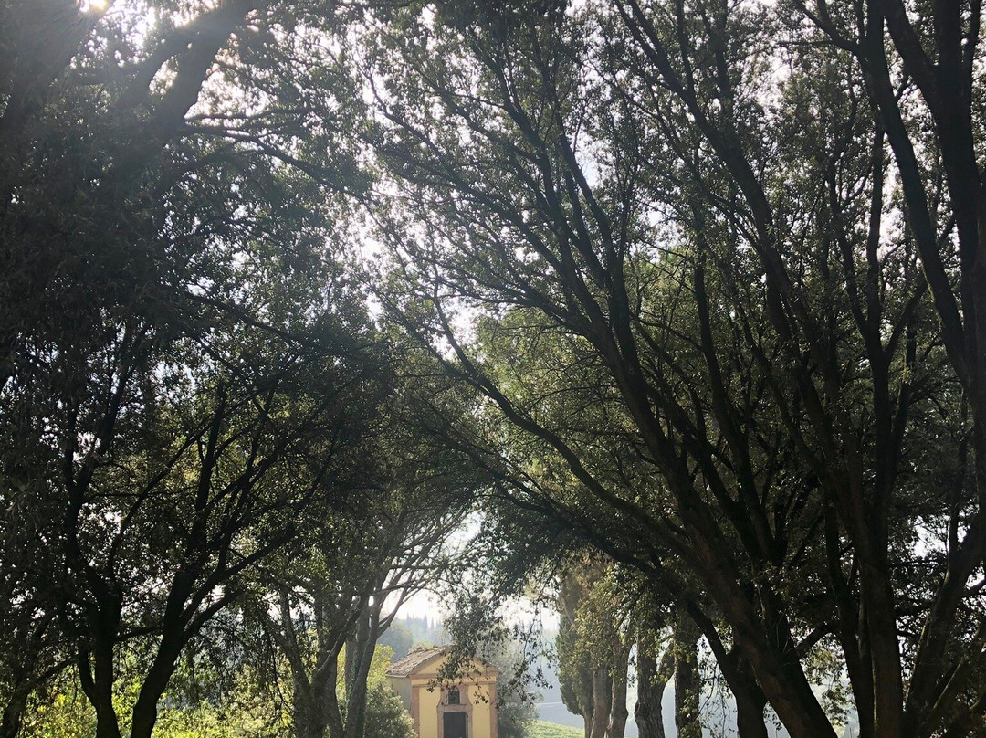 Castello Tricerchi-蒙塔尔奇诺必去景点