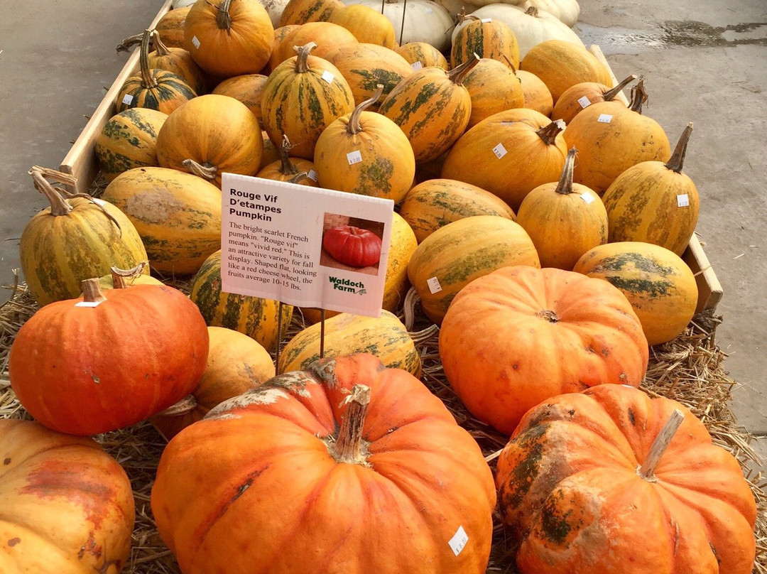 Waldoch Farm-Lino Lakes必去景点