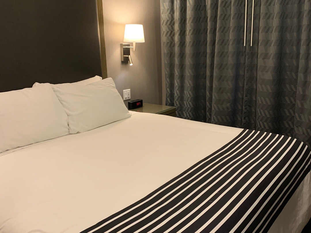 Sandman Signature St. John's Hotel主图