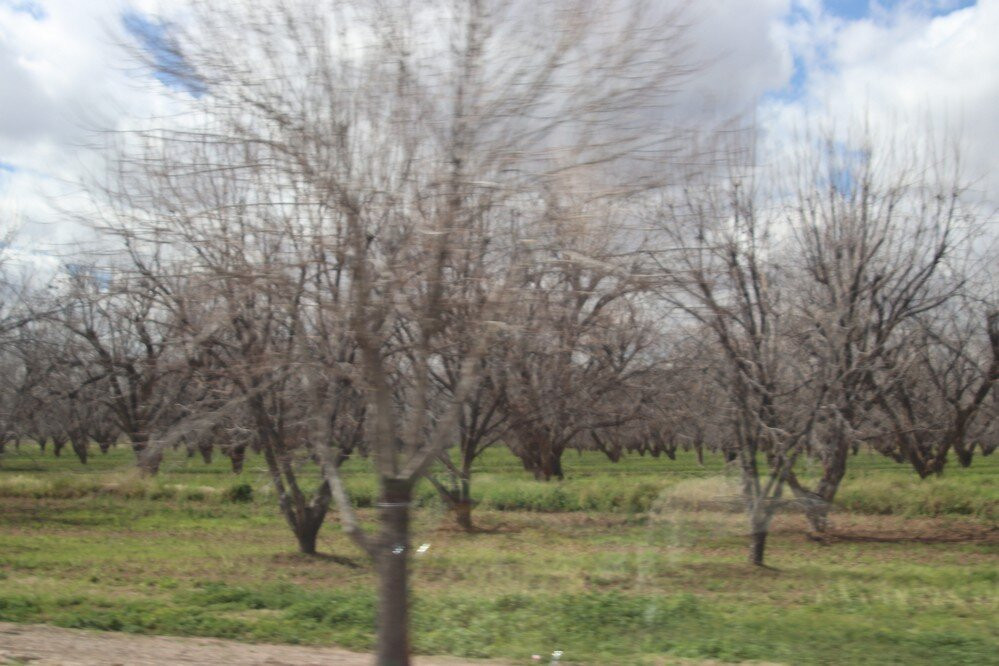 Green Valley Pecan Company景点图片