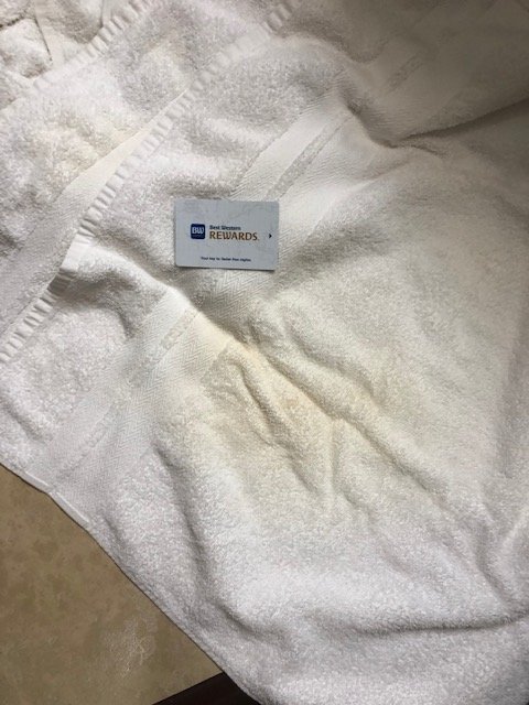 Best Western Plus Deridder Inn & Suites-浴室