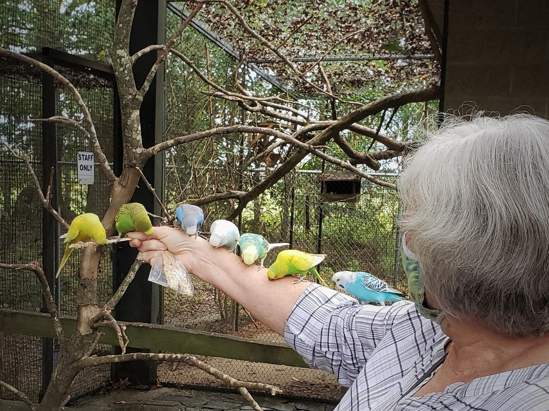 Sylvan Heights Bird Park景点图片