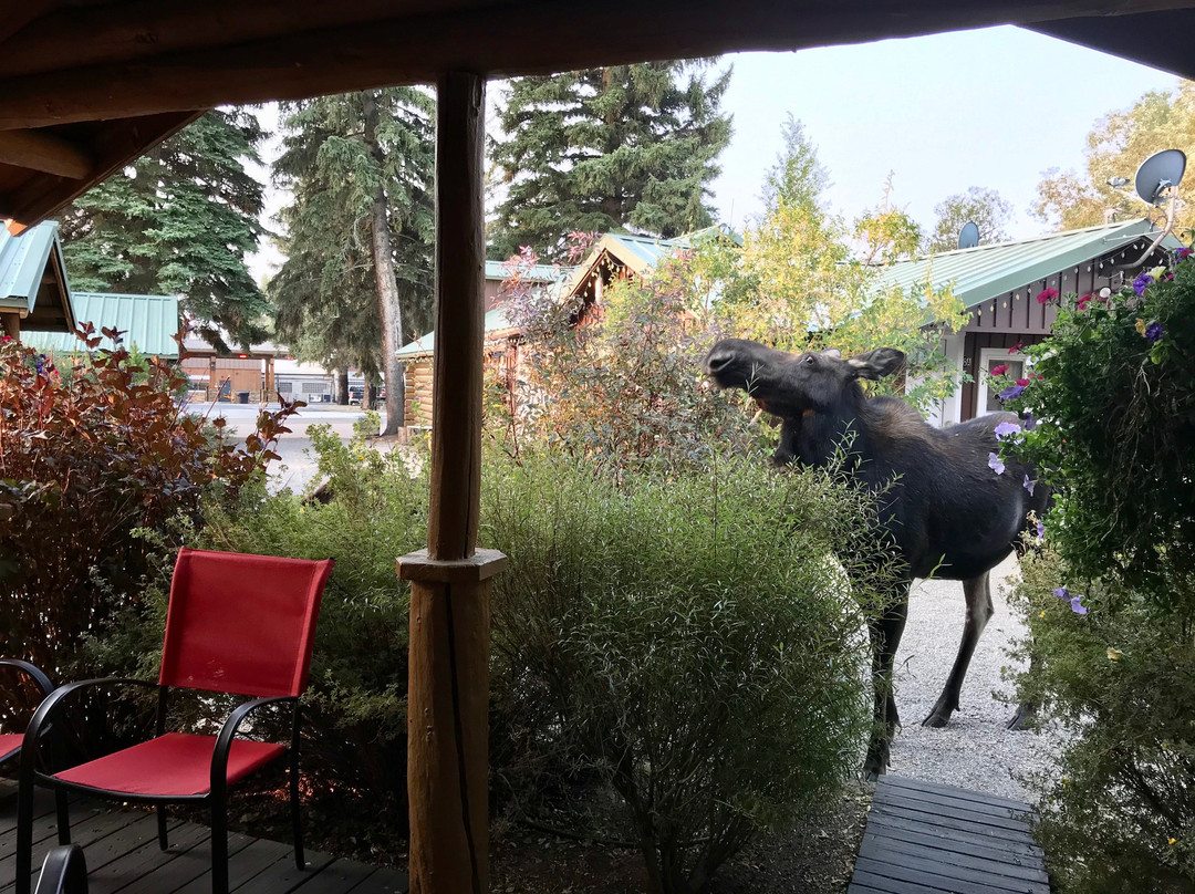 Log Cabin Motel主图