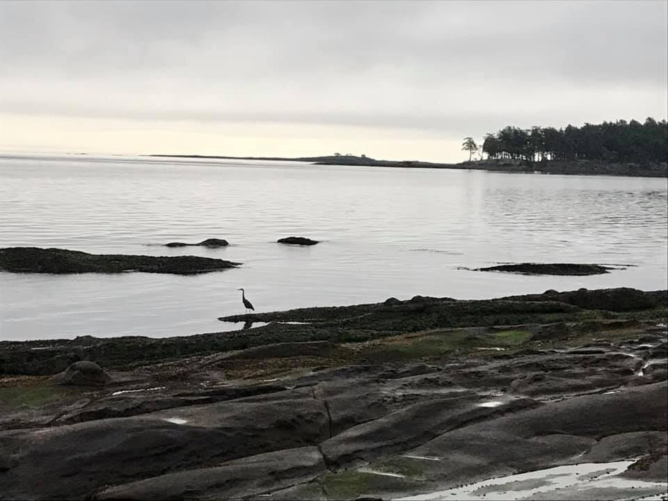 Four Winds Bed and Breakfast主图