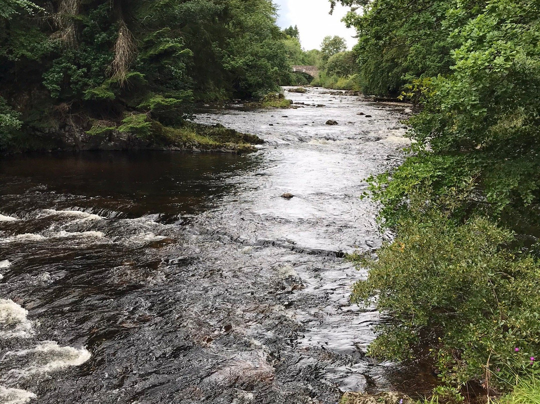 Reekie Linn-Kirriemuir必去景点