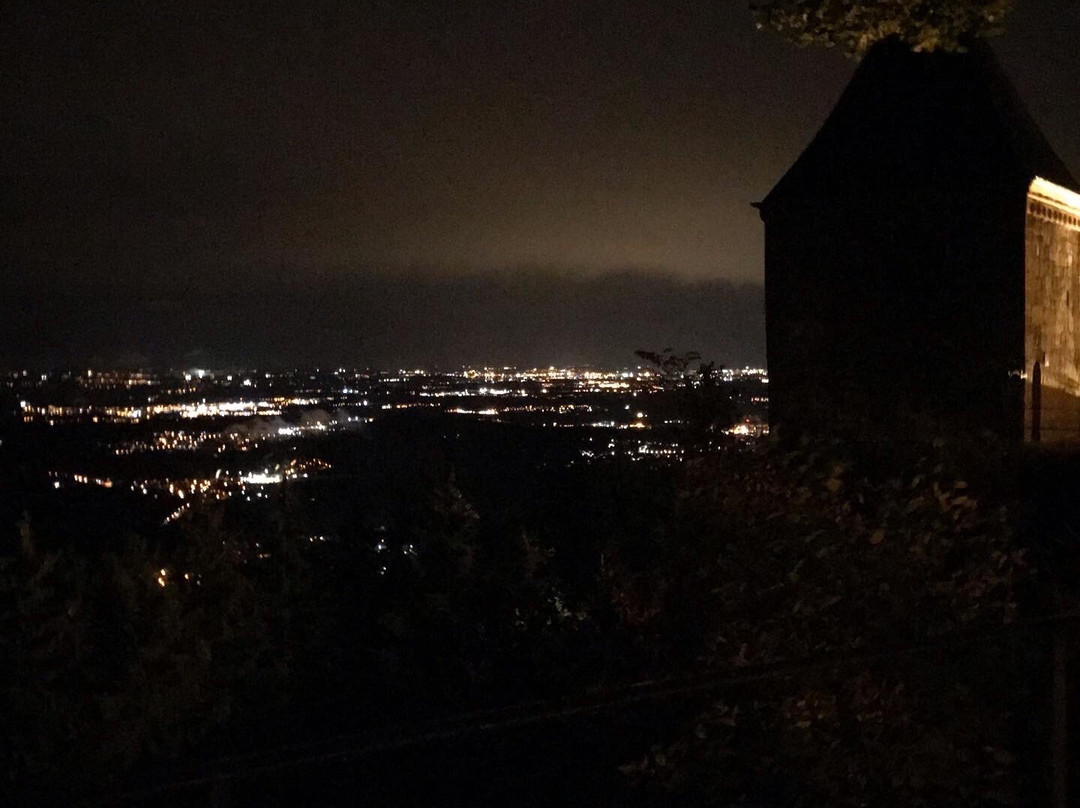 Hostellerie Du Mont Sainte-Odile主图