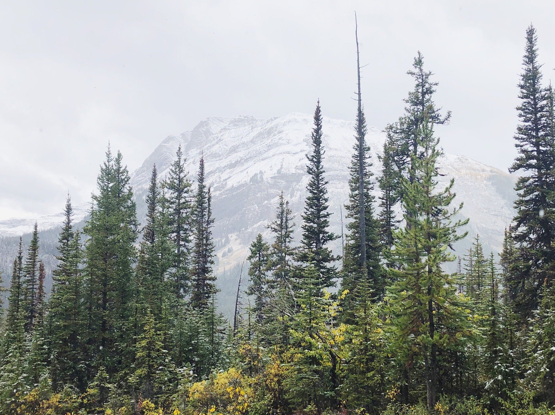 Chester Lake-Peter Lougheed Provincial Park必去景点