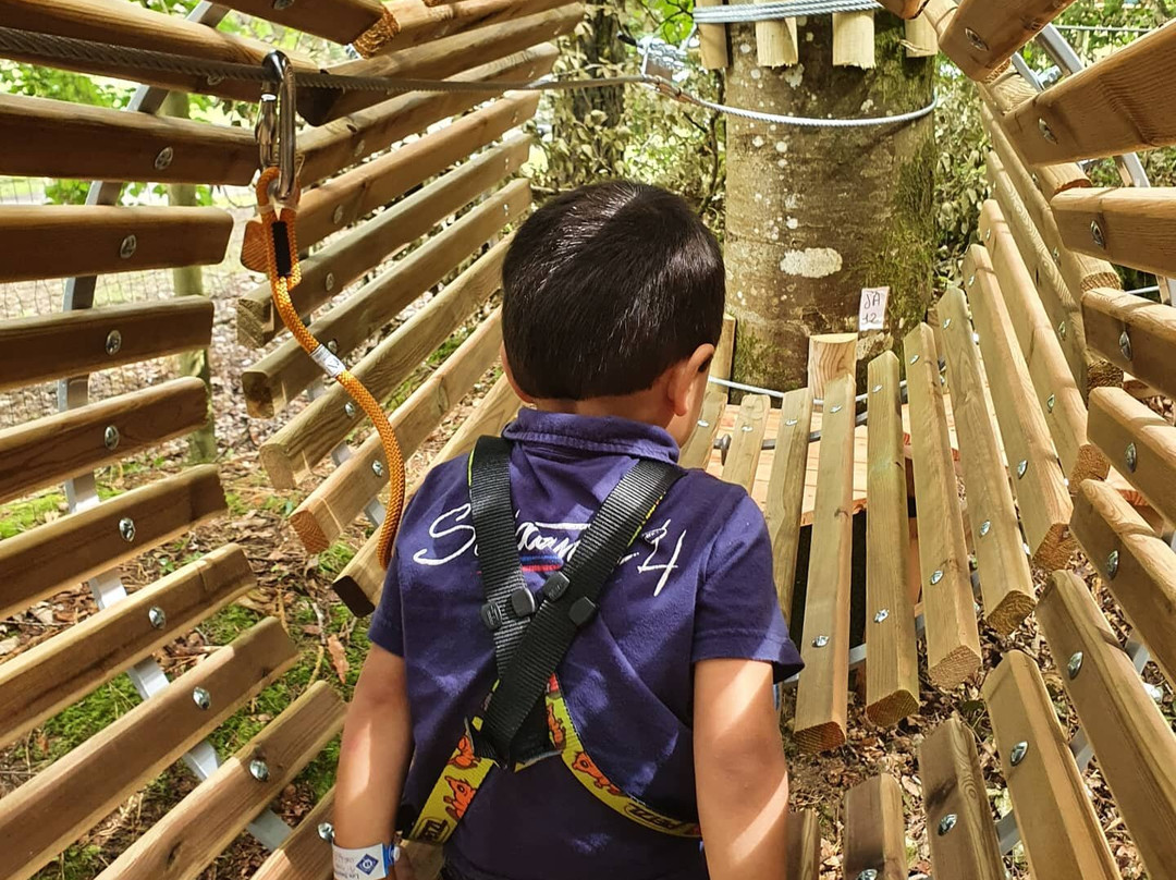 Ludana Parc Aventure景点图片