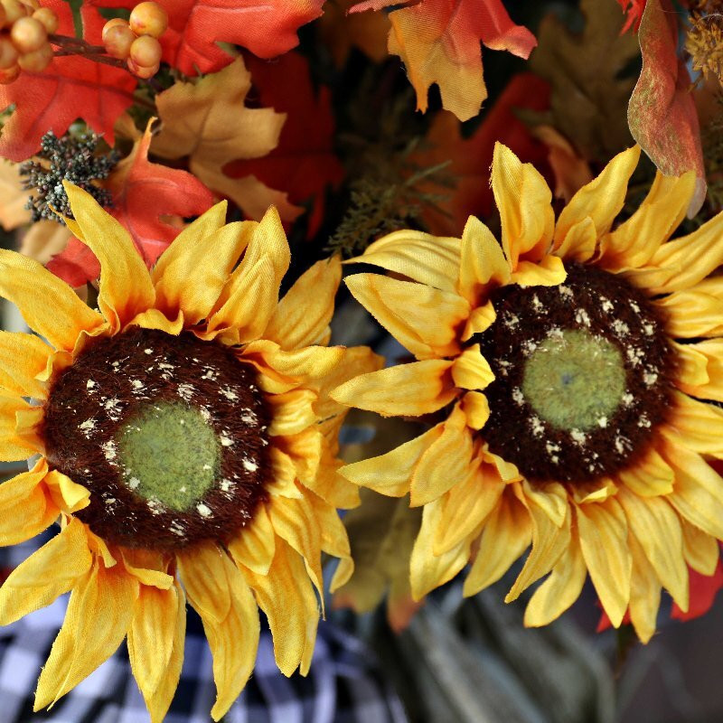 Apple Hill | High Hill Ranch-普莱瑟维尔必去景点