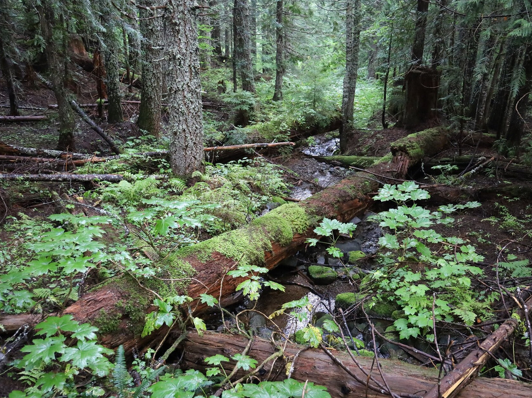 Mirror Lake Trail-胡德里弗必去景点
