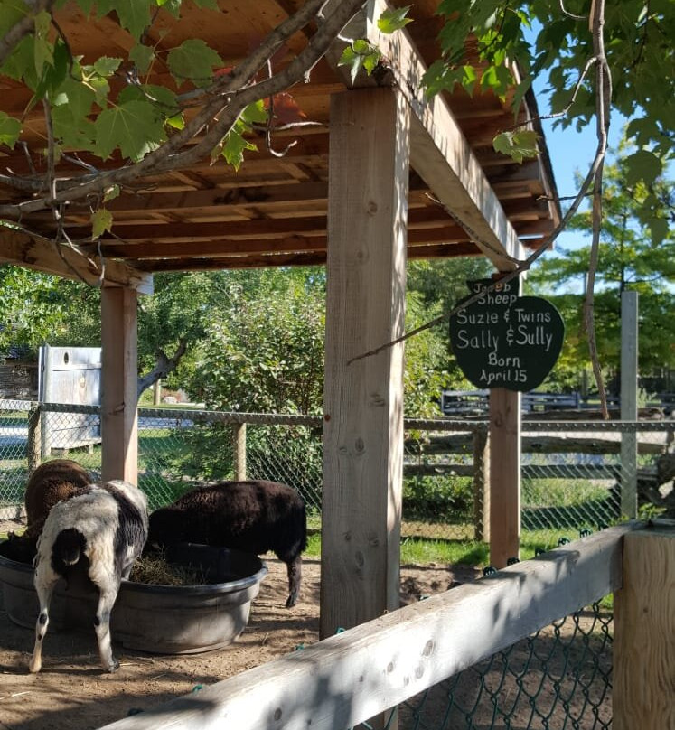 Chudleigh's Entertainment Farm-Milton必去景点