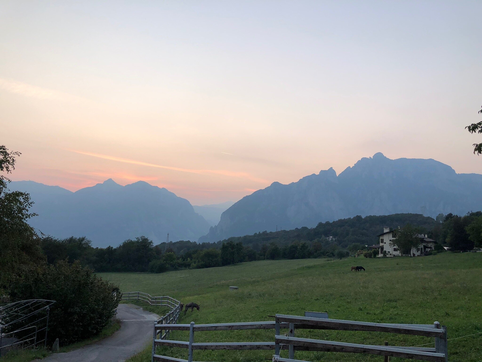 Agriturismo Deviscio-官方