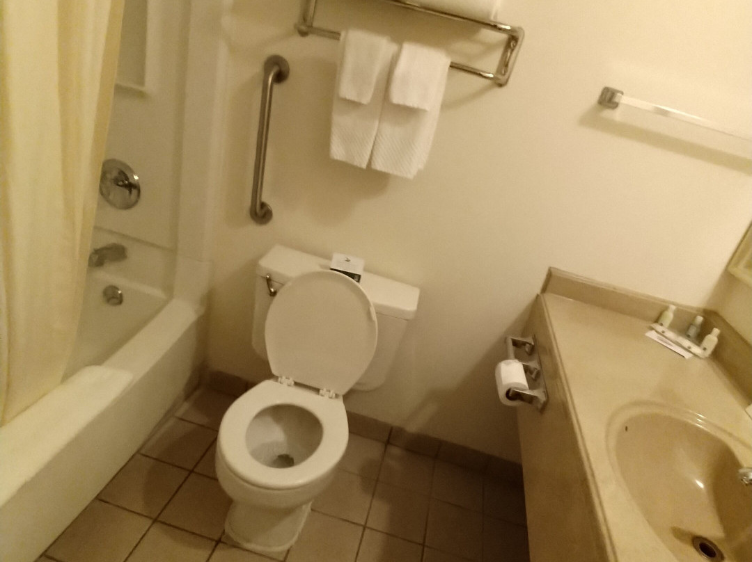 Clarion Pointe Winslow I-40主图