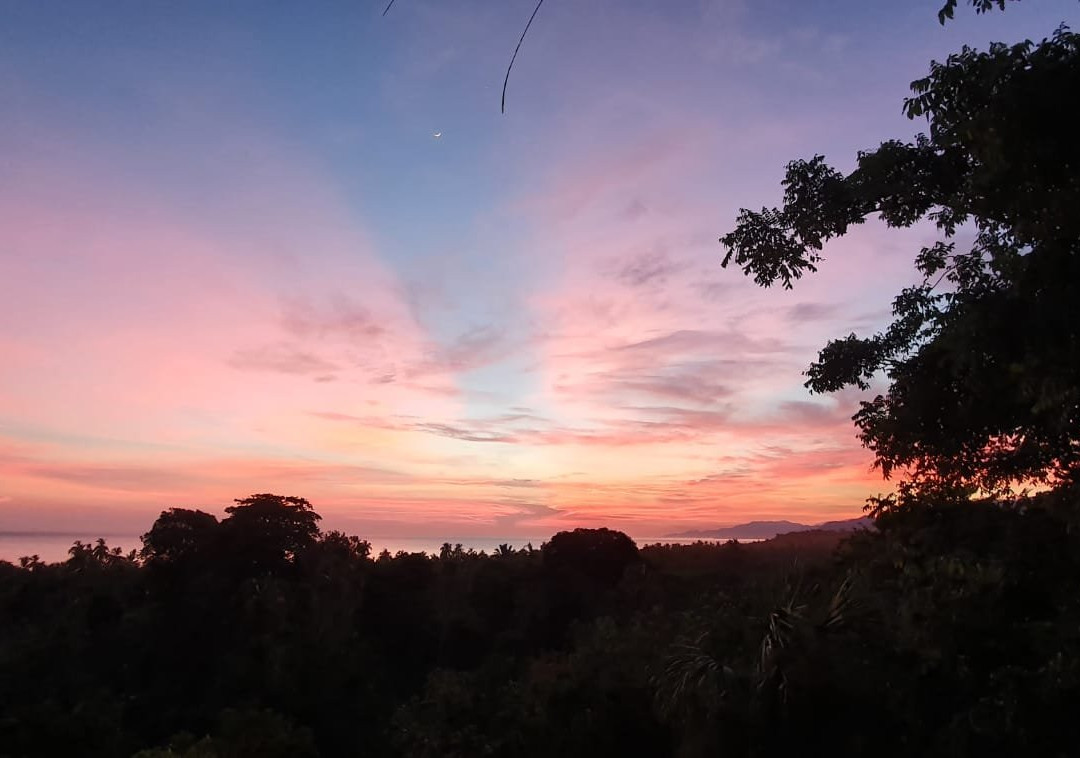 Villa Maria Tayrona, Jungle and Sea Experience主图