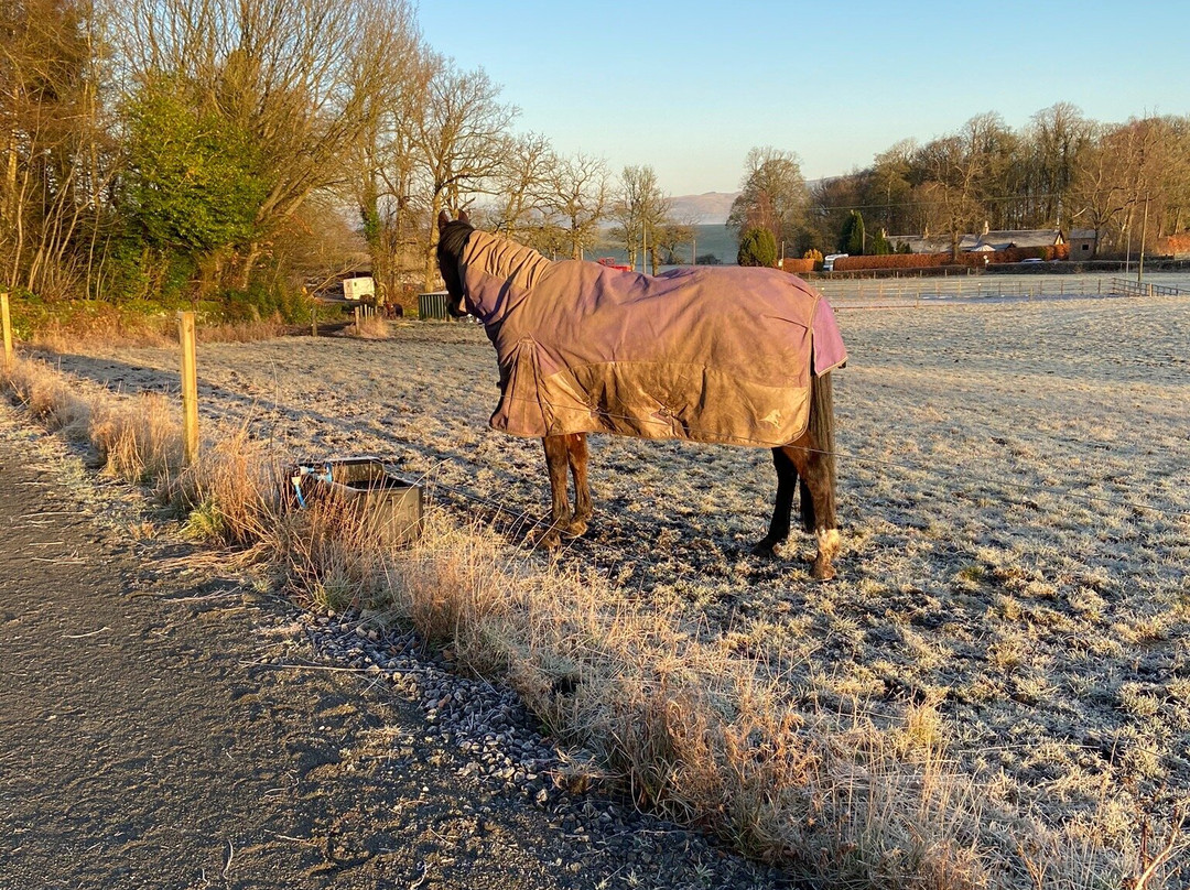 West Plean House主图