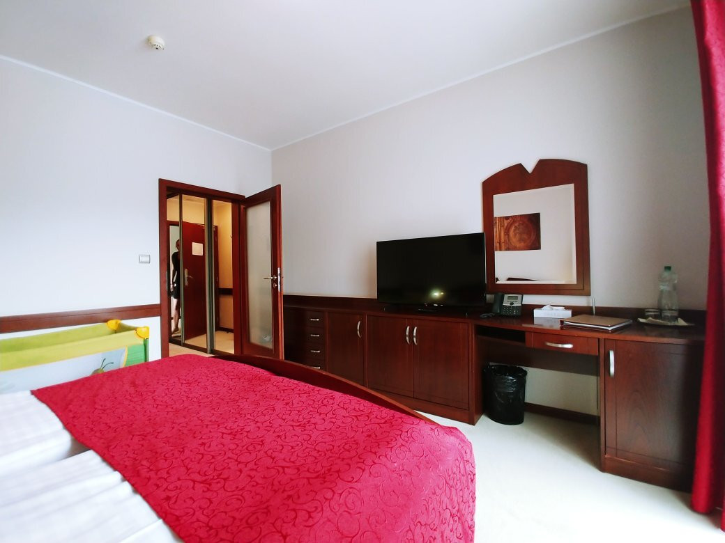 Hotel Impozant主图