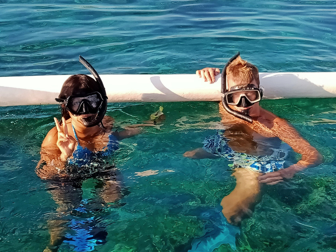 LOVINA TICKET DOLPHINS & SNORKLING-Kaliasem必去景点