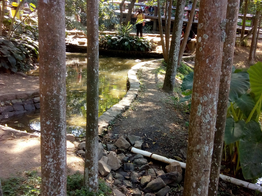 Parque Celso Daniel景点图片