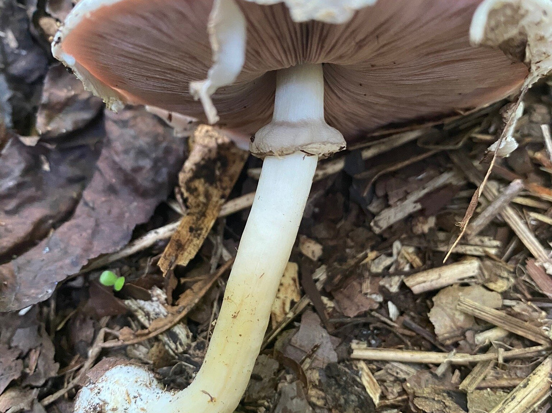 Lock 60 Recreation Area-Mont Clare必去景点