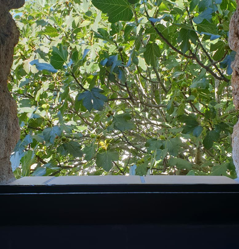 Casa Rural La Jiguera主图