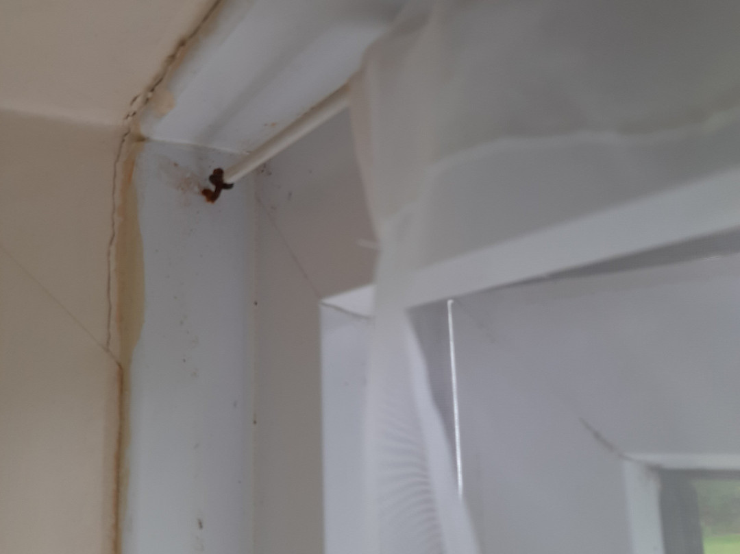 Sunnymeade Country House主图