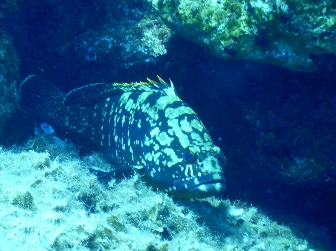 Atlantis Diving Center-Adelianos Kampos必去景点