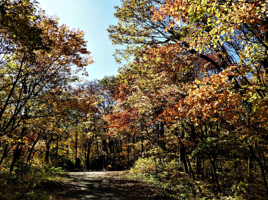 Sangai Fall/Fudo Fall景点图片