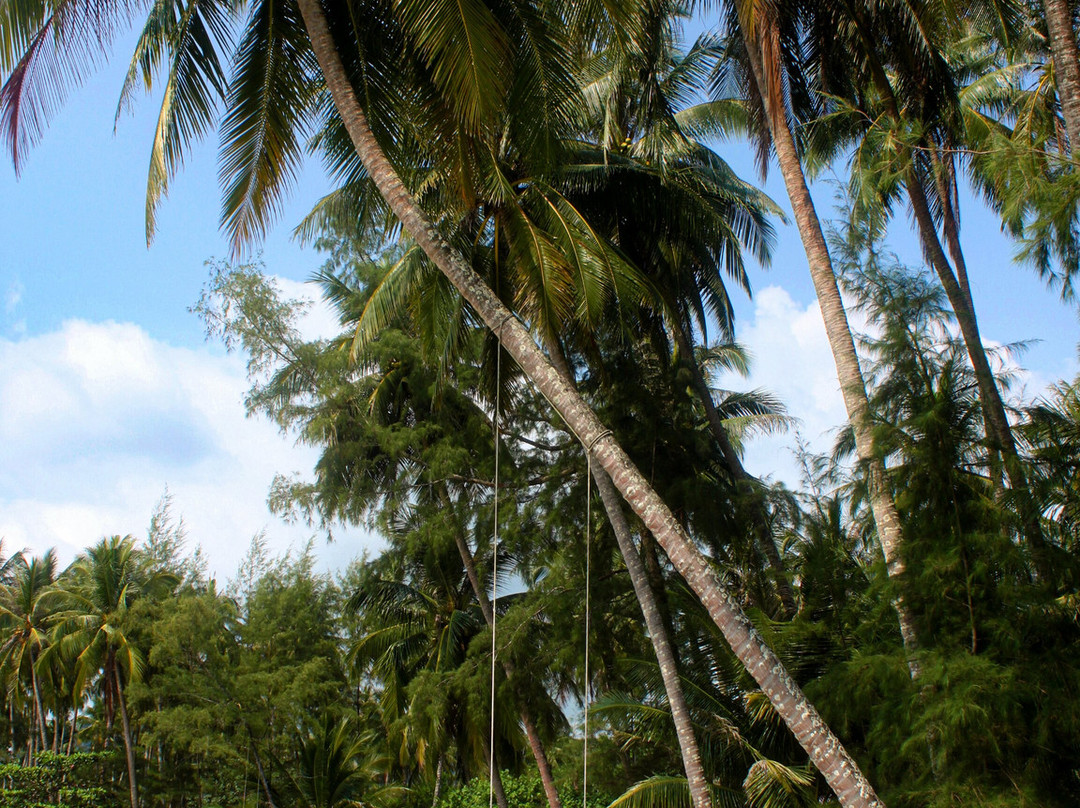 Ao Phrao-阁骨岛必去景点