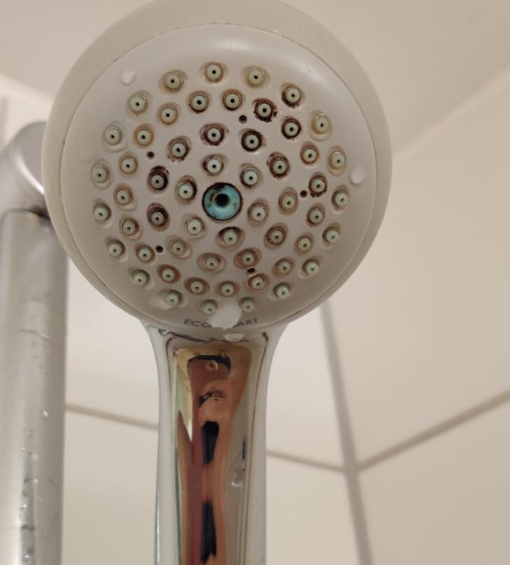 Hotel Badischer Hof主图