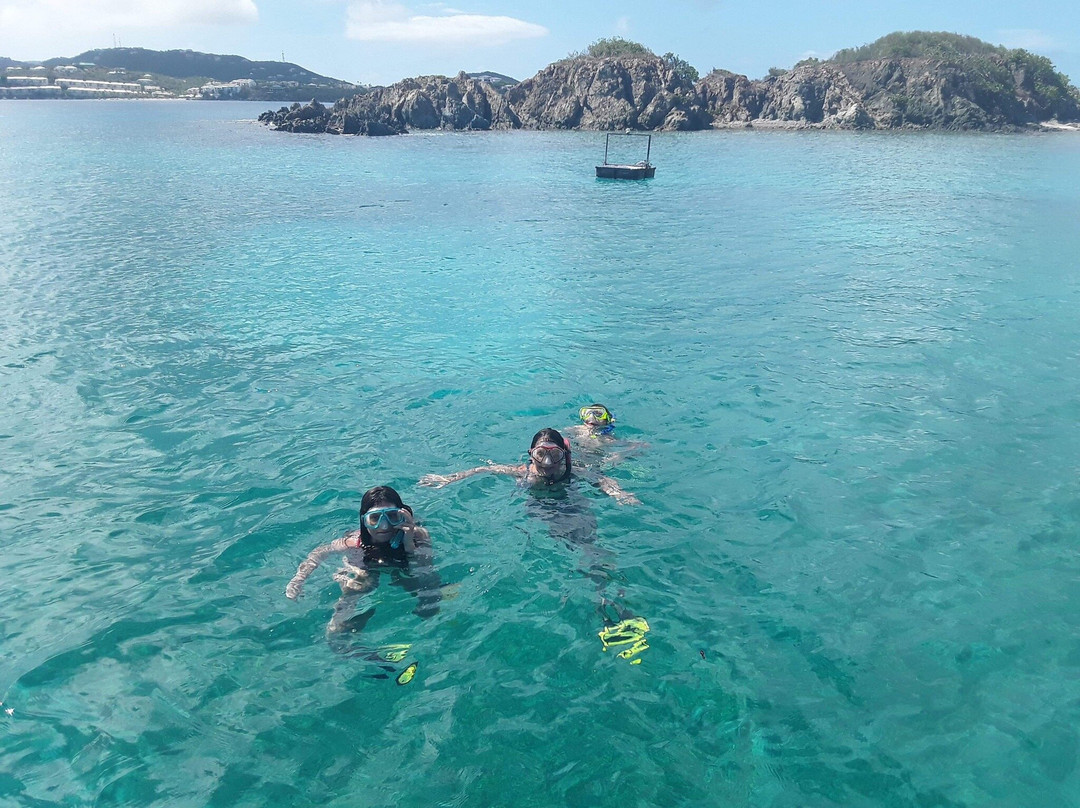 Sailing The Cosmos Charters-Red Hook必去景点