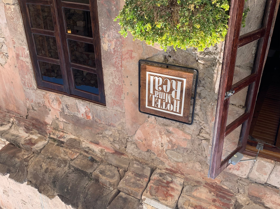 Hotel Mina Real主图