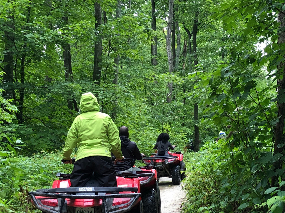 ATV Adventure Tours-科林伍德必去景点