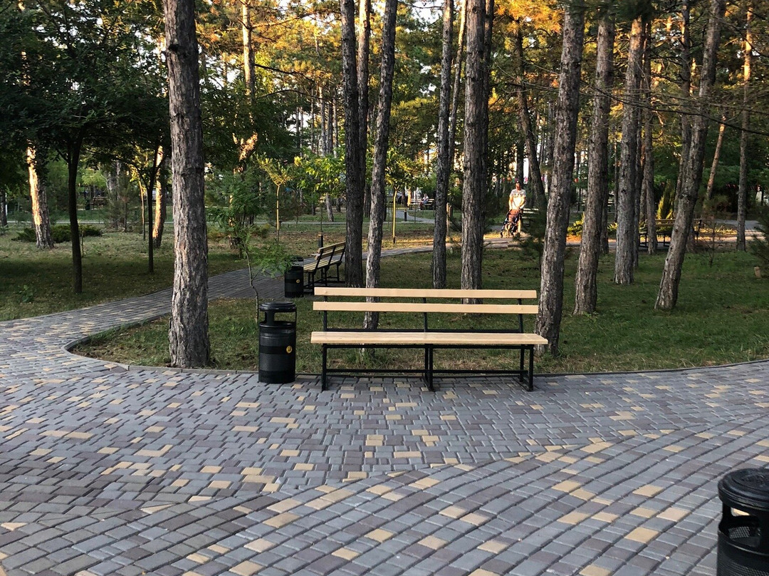 Berezka主图